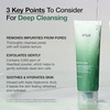 image:imageANUA Pore Care MustHave Duo Heartleaf Quercetinol Deep Cleansing Foam amp Azelaic Acid 3 CICA Skin Clarifying Toner Pore Cleansing amp Redness Care for Sensitive Skin Korean Skincare